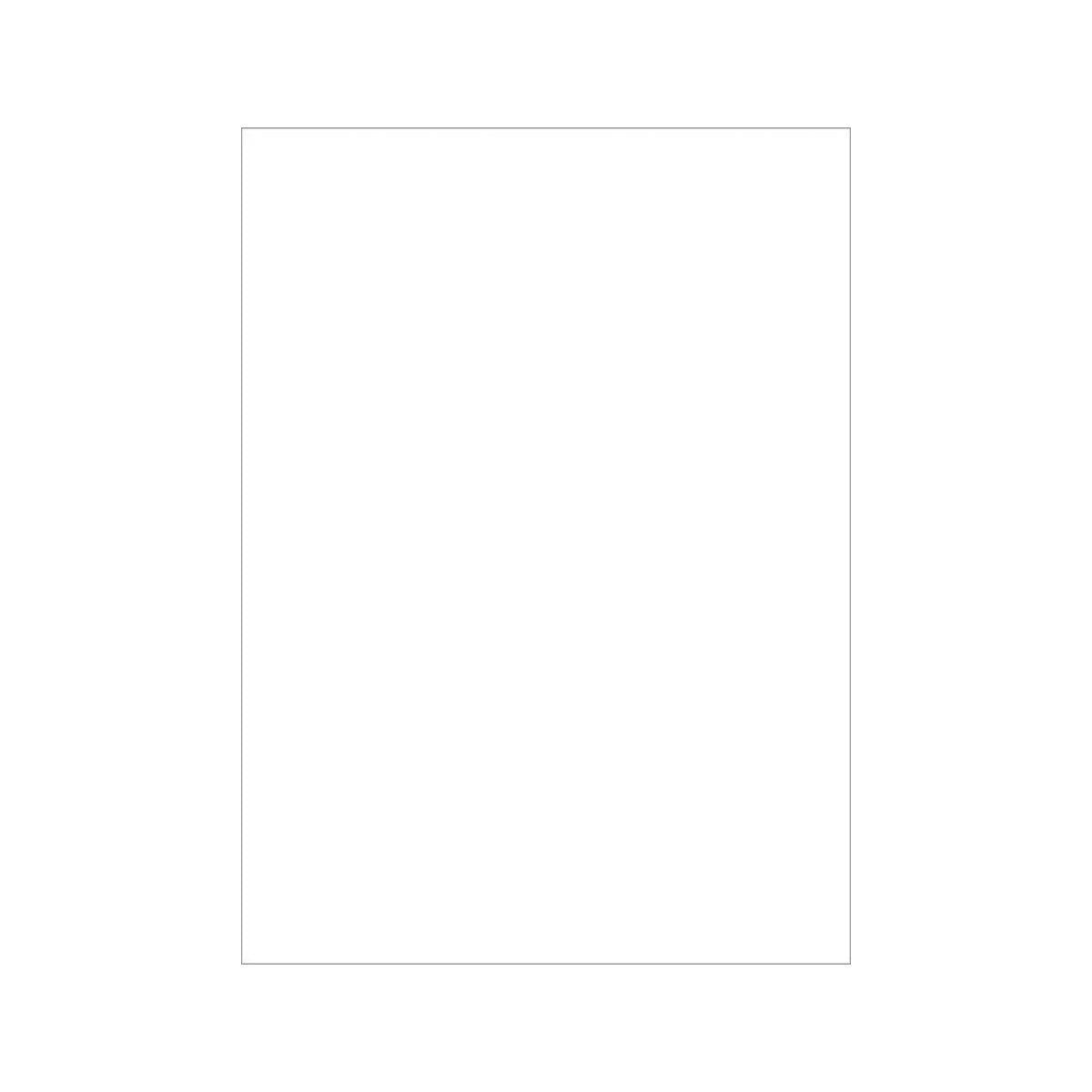 Double Matte White Sleeves