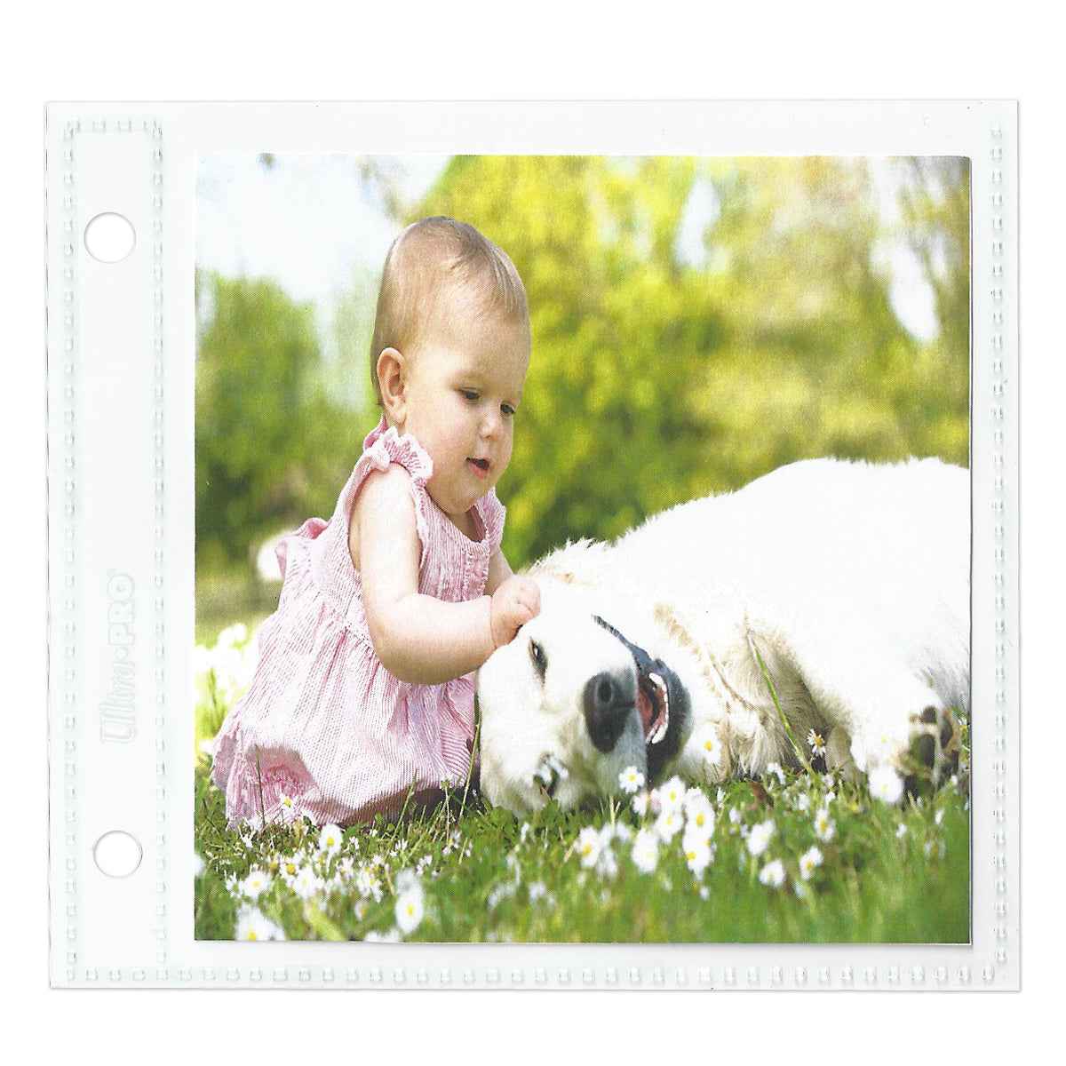 2-Hole Assorted Photo Pages (20ct) for 2" x 2" & 4" x 4" Prints