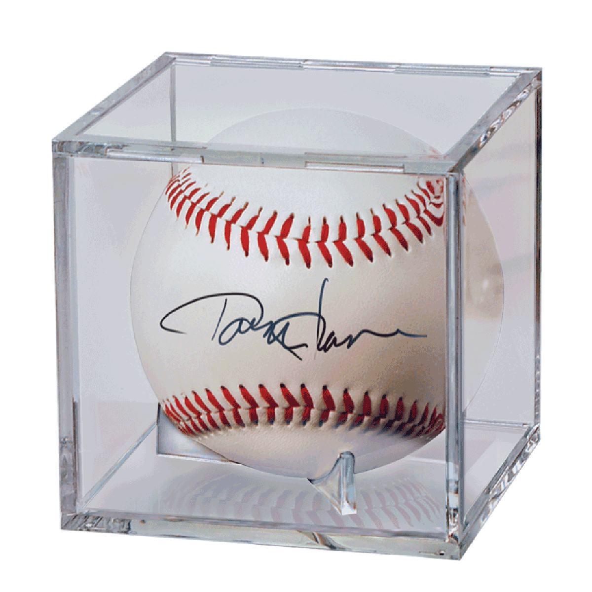 Baseball Clear Square Display Case | Ultra PRO International