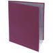 2-Pocket Folders (10ct) with 6 Clear Pages