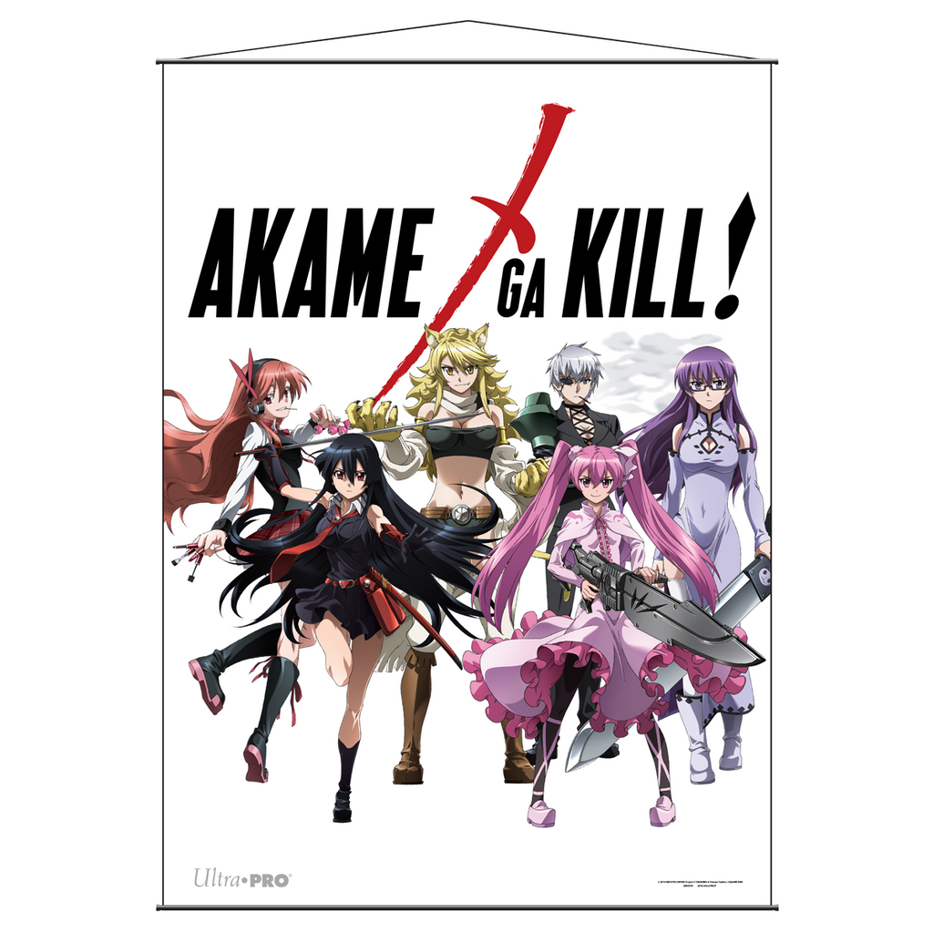 Akame ga Kill! poster